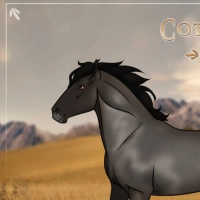 Thumbnail for HORSE-0489