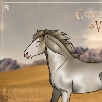 Thumbnail for HORSE-0865