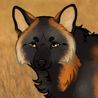 Thumbnail for COMP-0018: Vixen